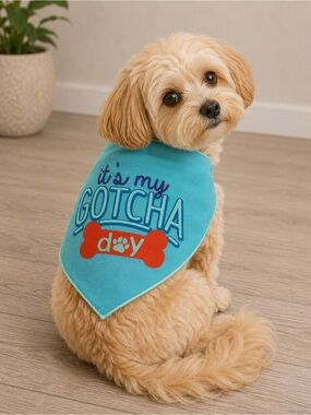Playtime Dog Bandana for Celebration Gotcha Day Dog Bandana NEW Medium/Large